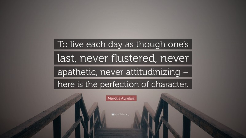 Marcus Aurelius Quote: “To live each day as though one’s last, never flustered, never apathetic, never attitudinizing – here is the perfection of character.”