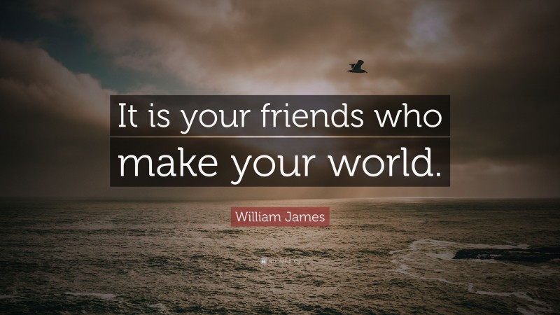 William James Quote: “It is your friends who make your world.”