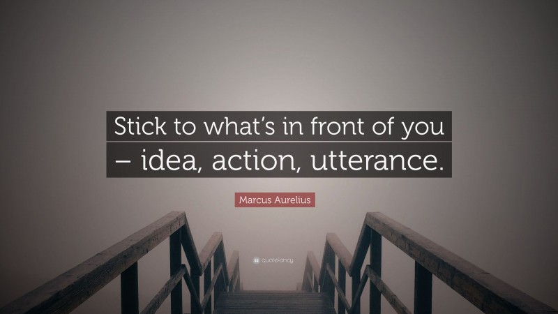 Marcus Aurelius Quote: “Stick to what’s in front of you – idea, action, utterance.”