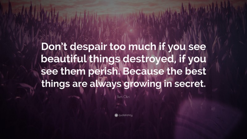 Ben Okri Quote: “Don’t despair too much if you see beautiful things destroyed, if you see them perish. Because the best things are always growing in secret.”
