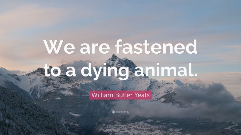 William Butler Yeats Quote: “We are fastened to a dying animal.”