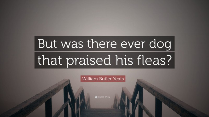 William Butler Yeats Quote: “But was there ever dog that praised his fleas?”