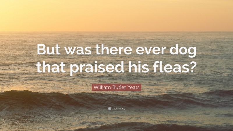 William Butler Yeats Quote: “But was there ever dog that praised his fleas?”