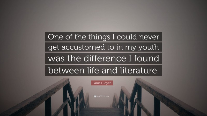James Joyce Quote: “One of the things I could never get accustomed to in my youth was the difference I found between life and literature.”