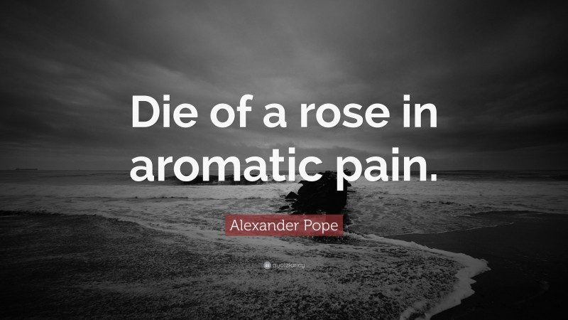 Alexander Pope Quote: “Die of a rose in aromatic pain.”