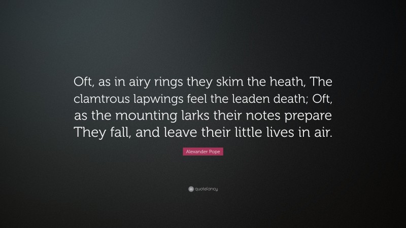 Alexander Pope Quote: “Oft, as in airy rings they skim the heath, The clamtrous lapwings feel the leaden death; Oft, as the mounting larks their notes prepare They fall, and leave their little lives in air.”