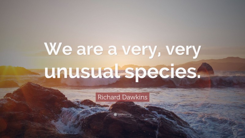 Richard Dawkins Quote: “We are a very, very unusual species.”
