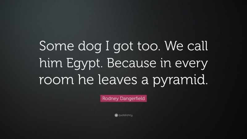 Rodney Dangerfield Quote: “Some dog I got too. We call him Egypt. Because in every room he leaves a pyramid.”