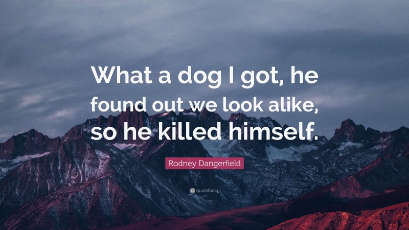 Rodney Dangerfield Quote: “What a dog I got, he found out we look alike, so he killed himself.”