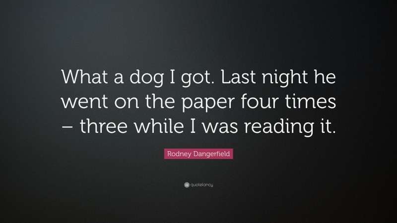 Rodney Dangerfield Quote: “What a dog I got. Last night he went on the paper four times – three while I was reading it.”