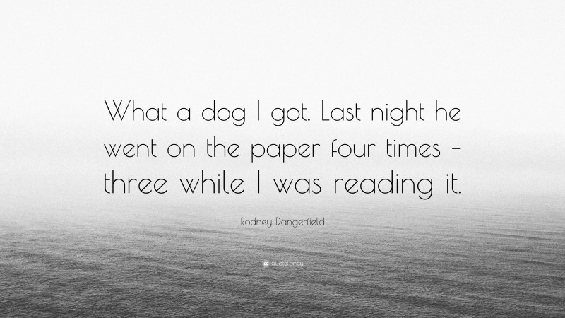Rodney Dangerfield Quote: “What a dog I got. Last night he went on the paper four times – three while I was reading it.”