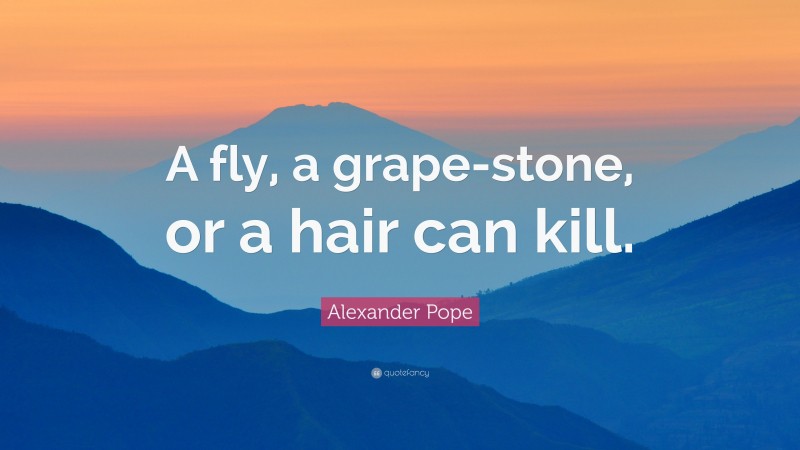 Alexander Pope Quote: “A fly, a grape-stone, or a hair can kill.”