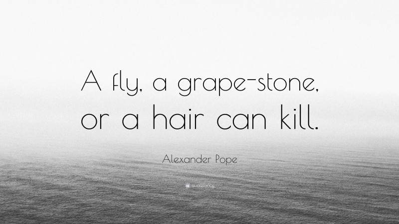 Alexander Pope Quote: “A fly, a grape-stone, or a hair can kill.”