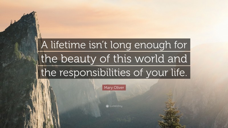 Mary Oliver Quote: “A lifetime isn’t long enough for the beauty of this world and the responsibilities of your life.”