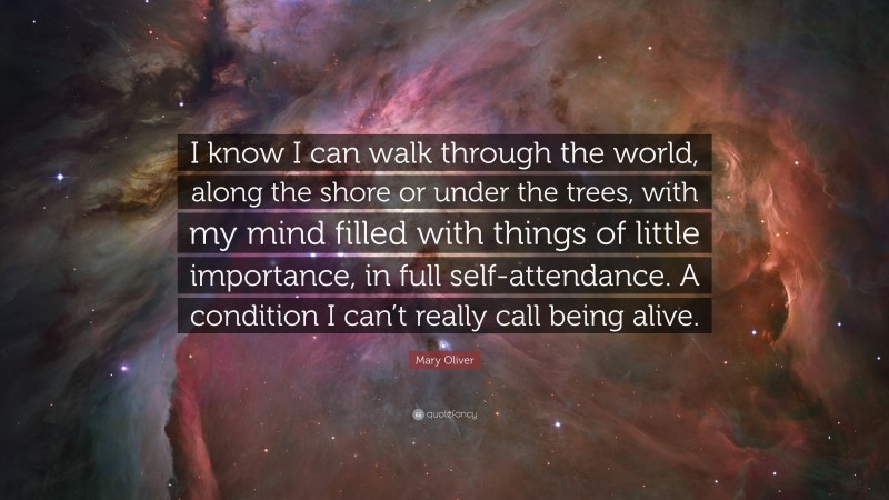 Mary Oliver Quote: “I know I can walk through the world, along the shore or under the trees, with my mind filled with things of little importance, in full self-attendance. A condition I can’t really call being alive.”