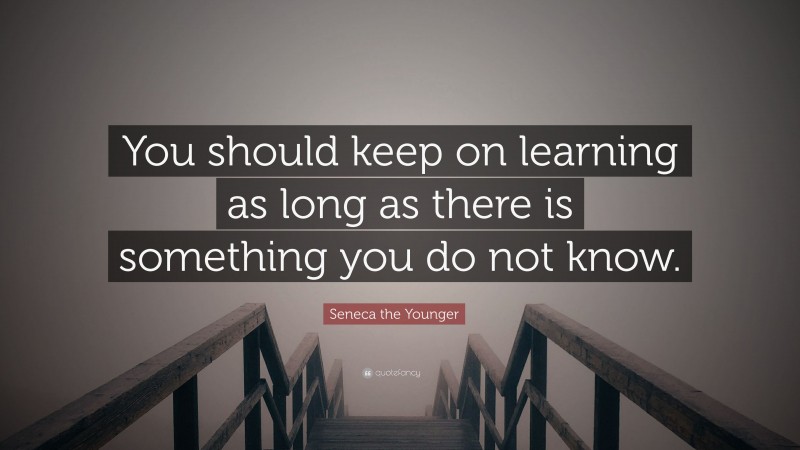 Seneca the Younger Quote: “You should keep on learning as long as there is something you do not know.”