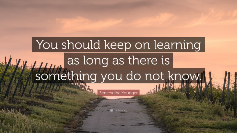 Seneca the Younger Quote: “You should keep on learning as long as there is something you do not know.”