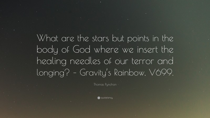 Thomas Pynchon Quote: “What are the stars but points in the body of God where we insert the healing needles of our terror and longing? – Gravity’s Rainbow, V699.”