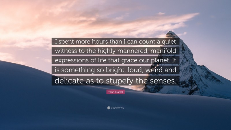 Yann Martel Quote: “I spent more hours than I can count a quiet witness to the highly mannered, manifold expressions of life that grace our planet. It is something so bright, loud, weird and delicate as to stupefy the senses.”