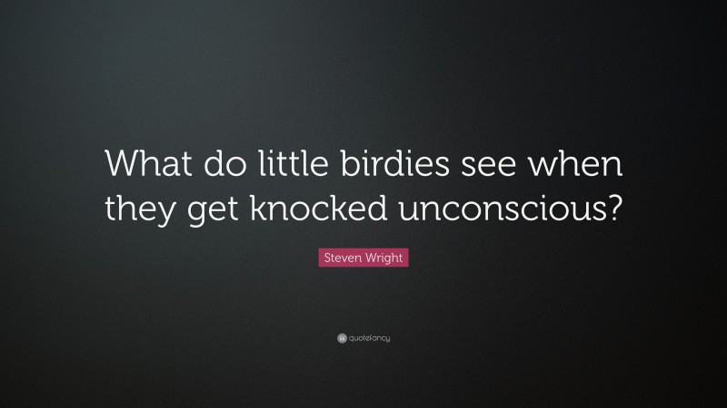 Steven Wright Quote: “What do little birdies see when they get knocked unconscious?”