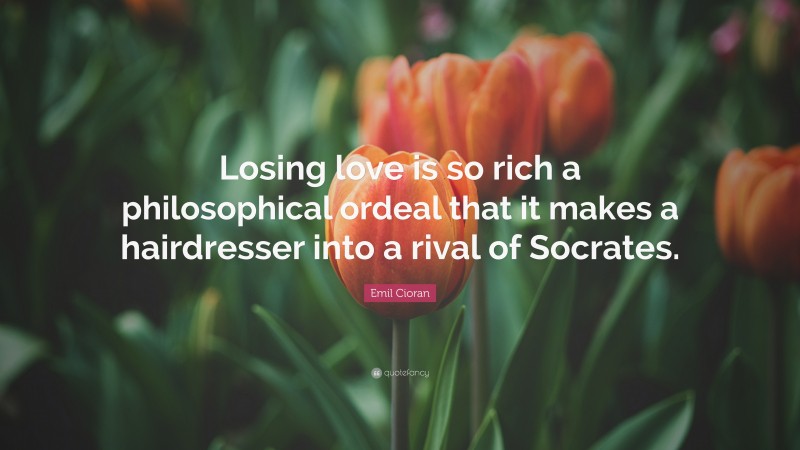 Emil Cioran Quote: “Losing love is so rich a philosophical ordeal that it makes a hairdresser into a rival of Socrates.”