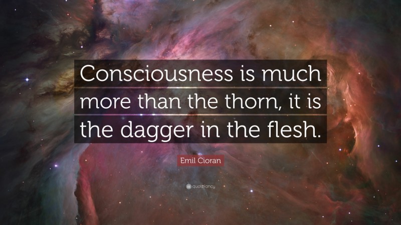 Emil Cioran Quote: “Consciousness is much more than the thorn, it is the dagger in the flesh.”