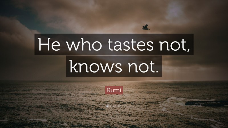 Rumi Quote: “He who tastes not, knows not.”