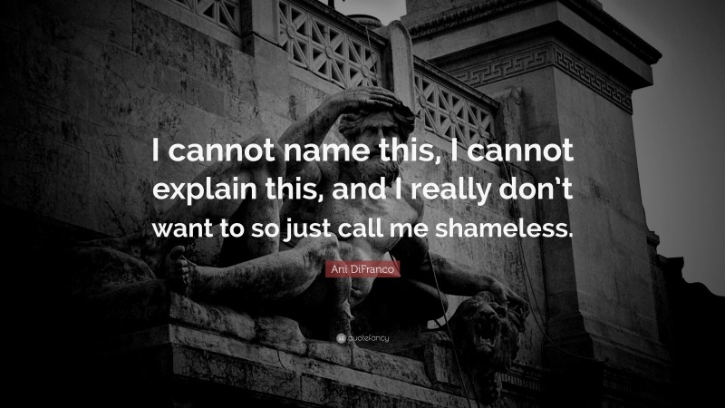Ani DiFranco Quote: “I cannot name this, I cannot explain this, and I really don’t want to so just call me shameless.”