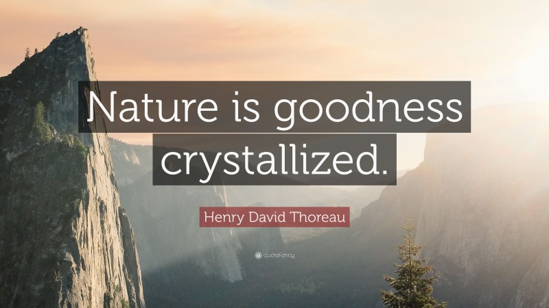 Henry David Thoreau Quote: “Nature is goodness crystallized.”