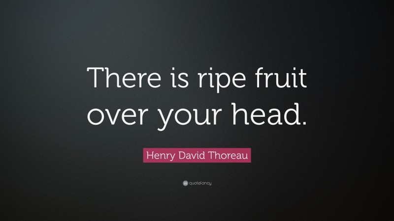 Henry David Thoreau Quote: “There is ripe fruit over your head.”