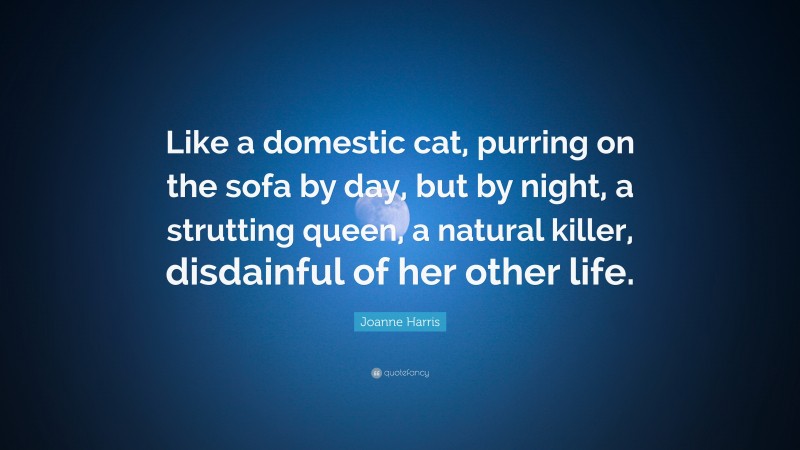 Joanne Harris Quote: “Like a domestic cat, purring on the sofa by day, but by night, a strutting queen, a natural killer, disdainful of her other life.”