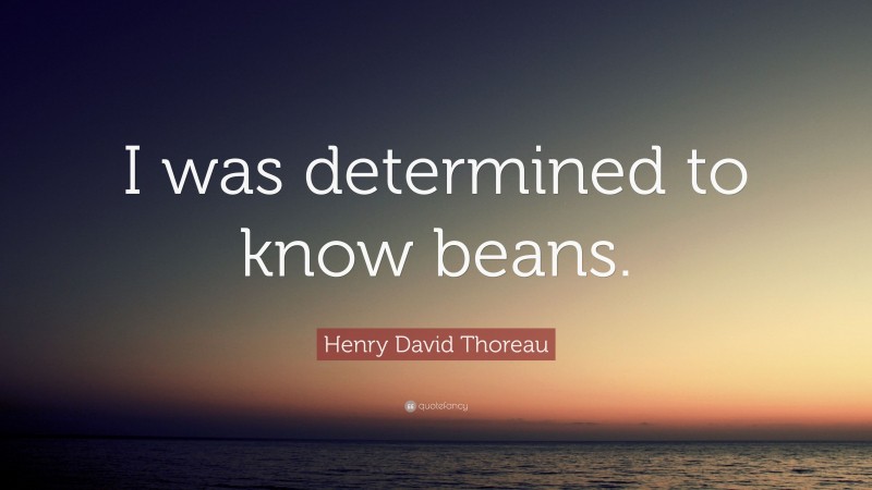 Henry David Thoreau Quote: “I was determined to know beans.”