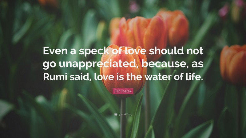 Elif Shafak Quote: “Even a speck of love should not go unappreciated, because, as Rumi said, love is the water of life.”
