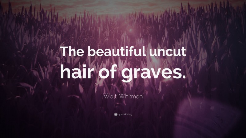 Walt Whitman Quote: “The beautiful uncut hair of graves.”