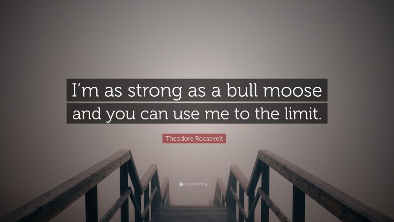 Theodore Roosevelt Quote: “I’m as strong as a bull moose and you can use me to the limit.”