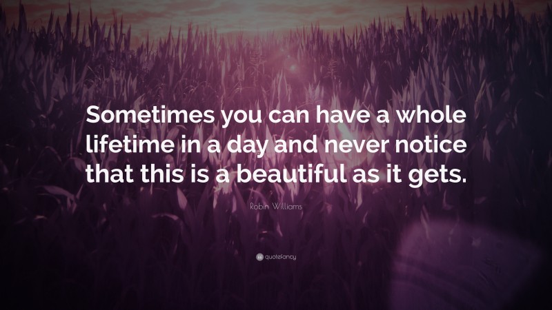 Robin Williams Quote: “Sometimes you can have a whole lifetime in a day and never notice that this is a beautiful as it gets.”