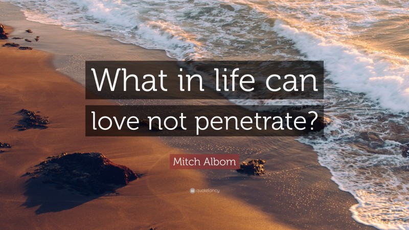 Mitch Albom Quote: “What in life can love not penetrate?”