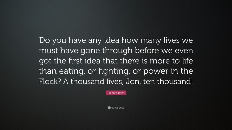 Richard Bach Quote: “Do you have any idea how many lives we must have gone through before we even got the first idea that there is more to life than eating, or fighting, or power in the Flock? A thousand lives, Jon, ten thousand!”