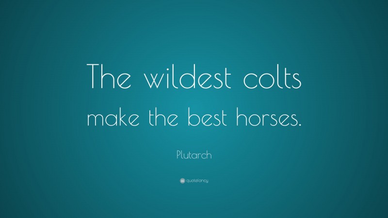 Plutarch Quote: “The wildest colts make the best horses.”