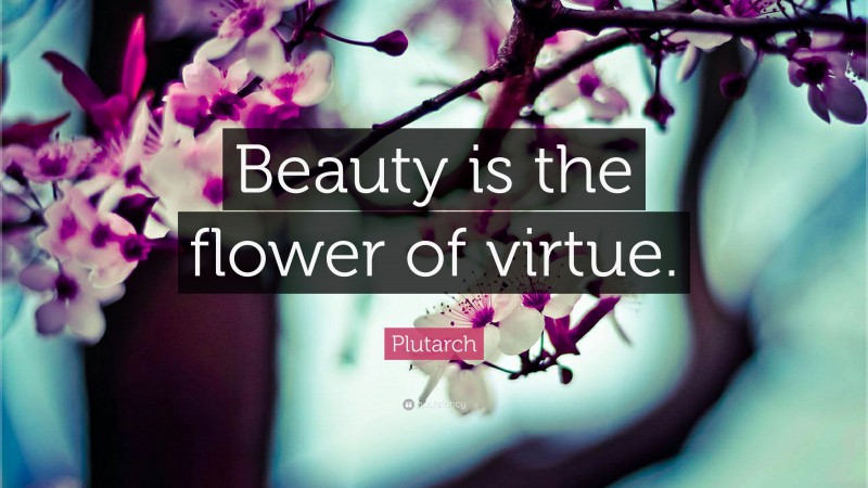 Plutarch Quote: “Beauty is the flower of virtue.”