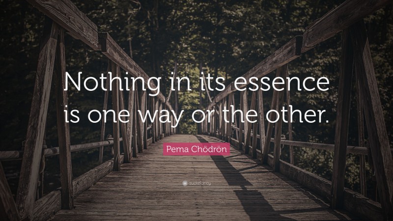 Pema Chödrön Quote: “Nothing in its essence is one way or the other.”