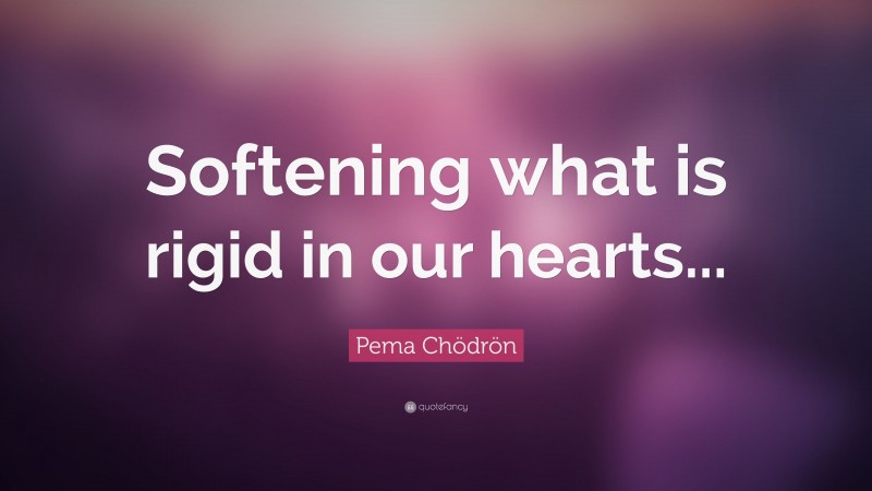 Pema Chödrön Quote: “Softening what is rigid in our hearts...”
