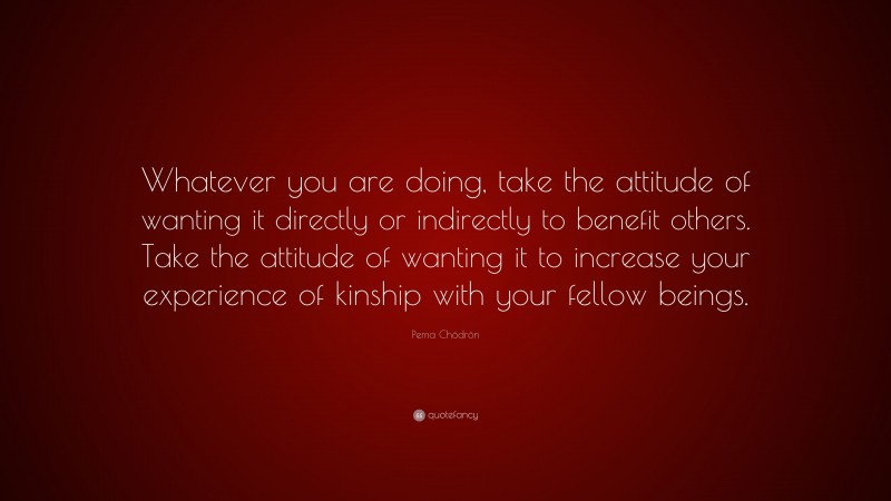 Pema Chödrön Quote: “Whatever you are doing, take the attitude of wanting it directly or indirectly to benefit others. Take the attitude of wanting it to increase your experience of kinship with your fellow beings.”