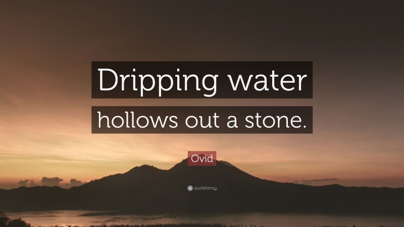 Ovid Quote: “Dripping water hollows out a stone.”