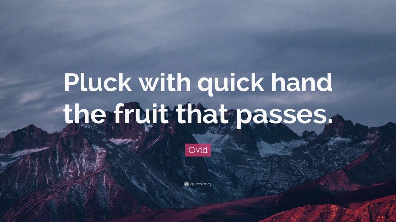 Ovid Quote: “Pluck with quick hand the fruit that passes.”