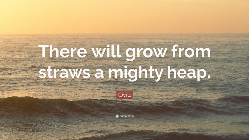 Ovid Quote: “There will grow from straws a mighty heap.”