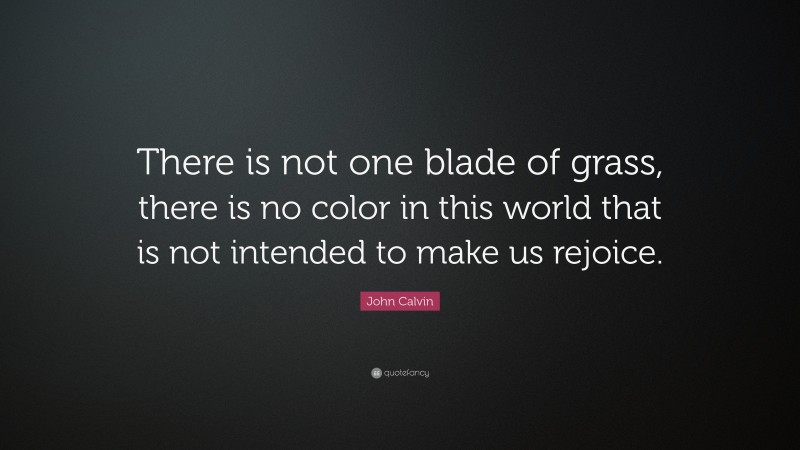 John Calvin Quote: “There is not one blade of grass, there is no color in this world that is not intended to make us rejoice.”