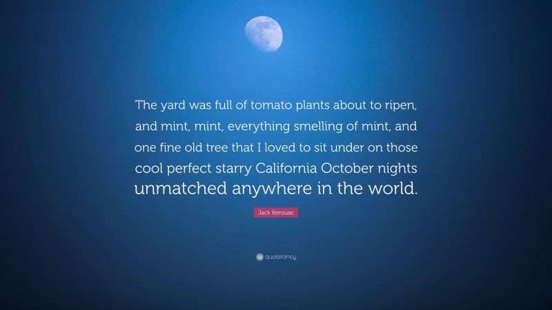 Jack Kerouac Quote: “The yard was full of tomato plants about to ripen, and mint, mint, everything smelling of mint, and one fine old tree that I loved to sit under on those cool perfect starry California October nights unmatched anywhere in the world.”