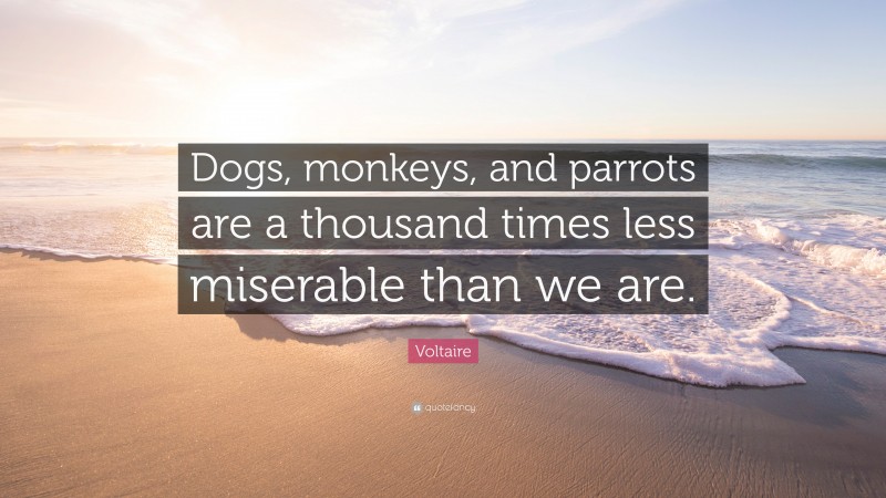 Voltaire Quote: “Dogs, monkeys, and parrots are a thousand times less miserable than we are.”
