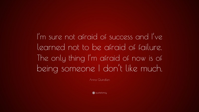 Anna Quindlen Quote: “I’m sure not afraid of success and I’ve learned not to be afraid of failure. The only thing I’m afraid of now is of being someone I don’t like much.”